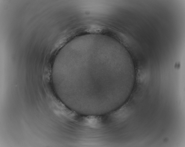 X0000112510370200908311338