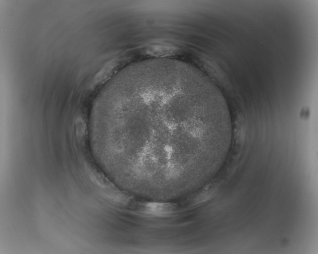 X0000112510371200908311338