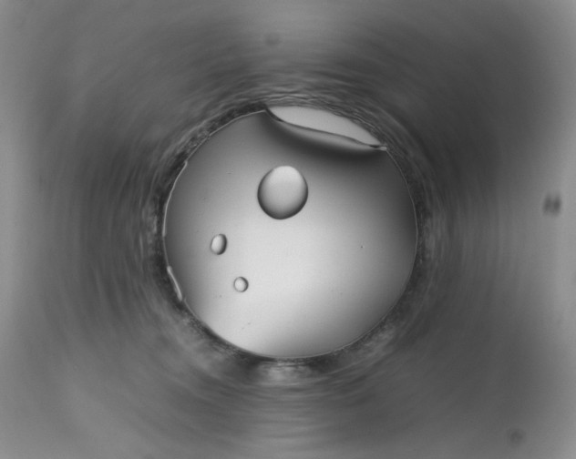 X0000112510372200908311338