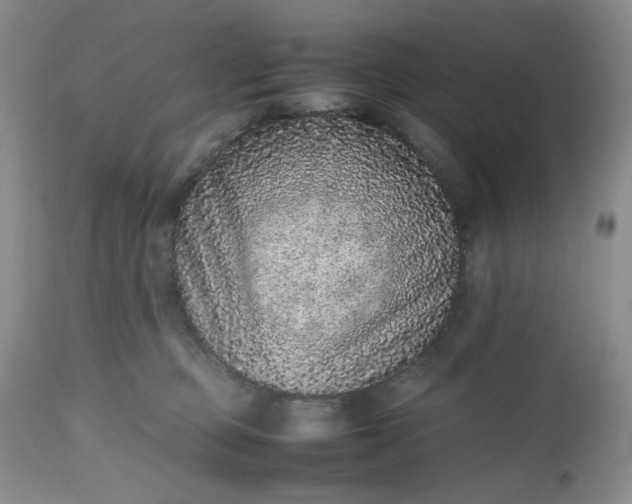 X0000112510373200908311338