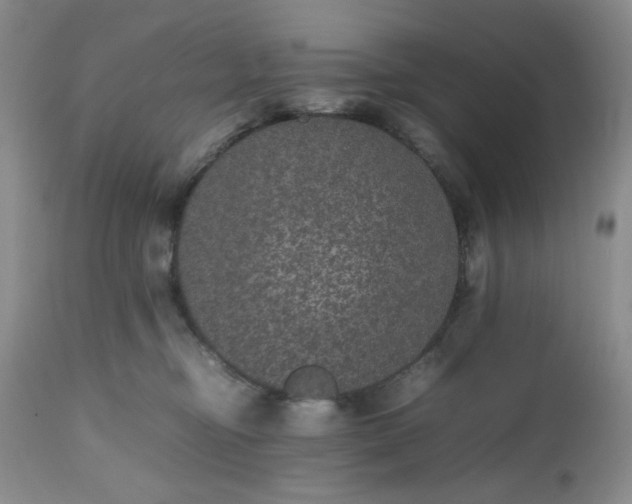 X0000112510374200908311338