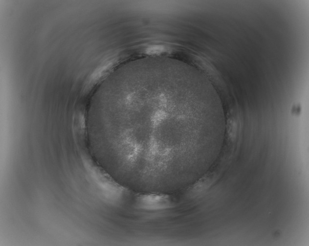 X0000112510375200908311338