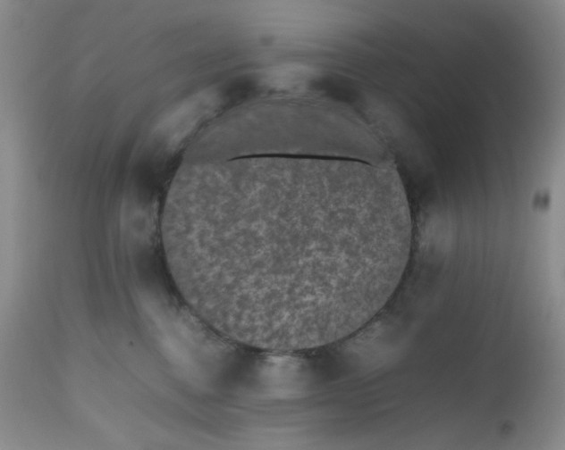 X0000112510376200908311338