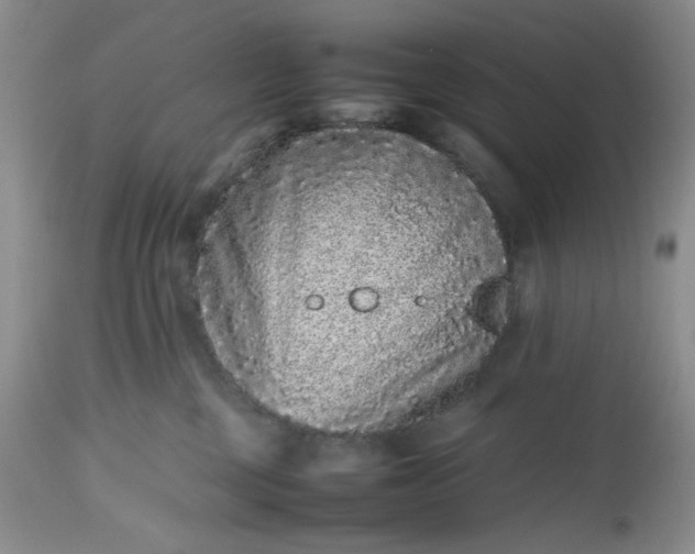 X0000112510377200908311338