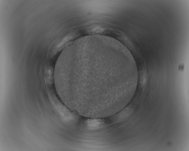 X0000112510378200908311338