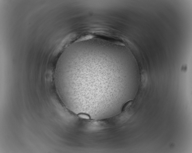 X0000112510379200908311338