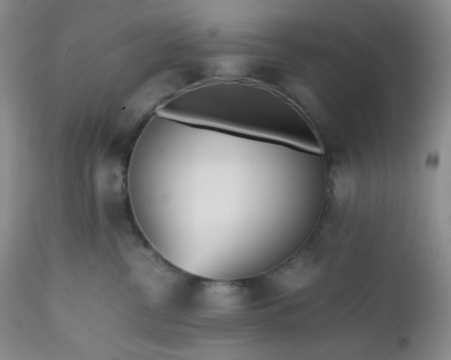 X0000112510380200908311338