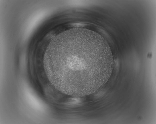 X0000112510381200908311338