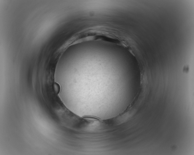 X0000112510382200908311338