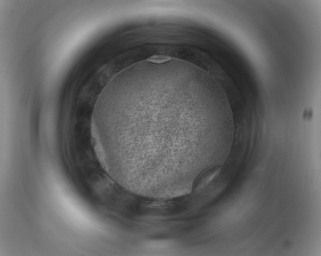 X0000112510383200908311338