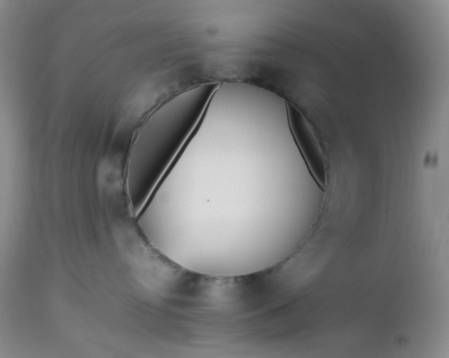 X0000112510384200908311338