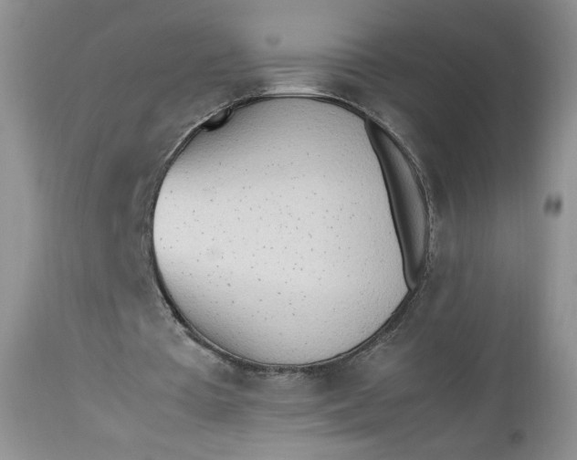 X0000112510385200908311338