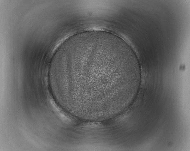 X0000112510386200908311338