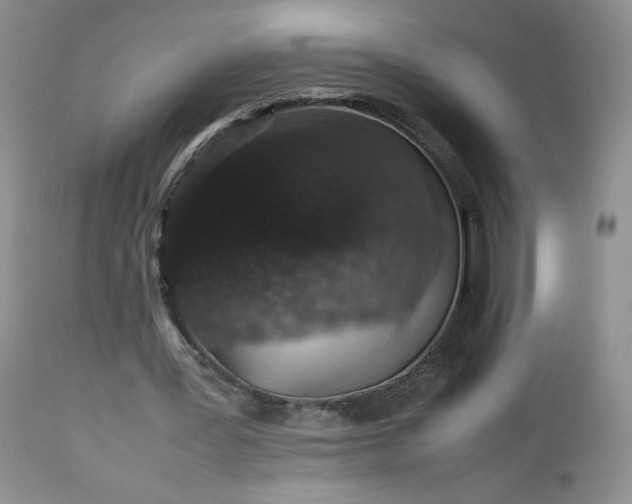 X0000112510387200908311338