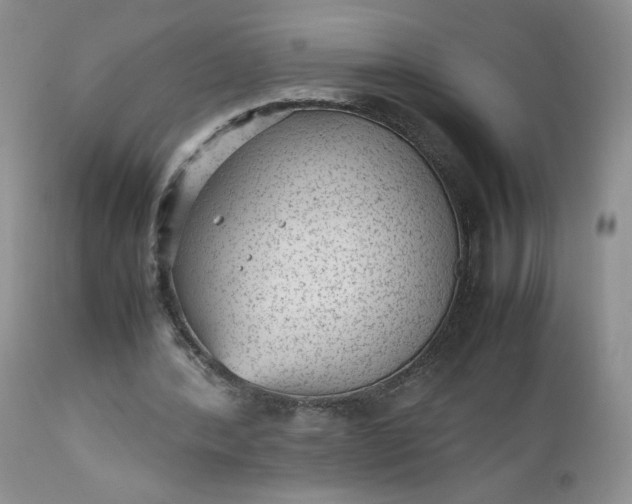 X0000112510388200908311338