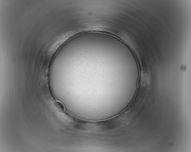 X0000112510389200908311338