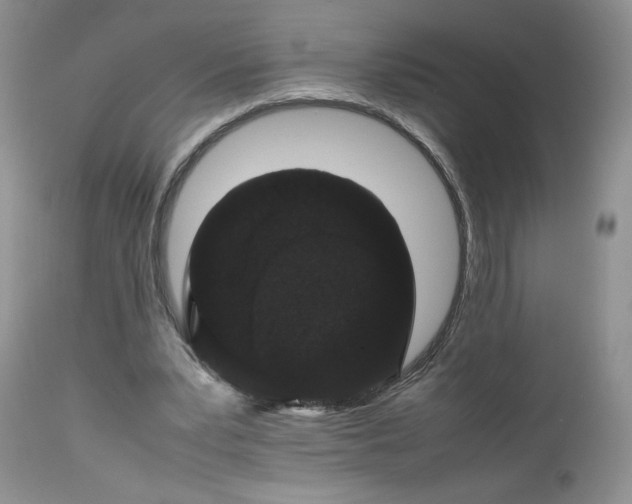 X0000112510391200908311338