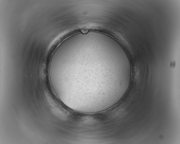 X0000112510392200908311337