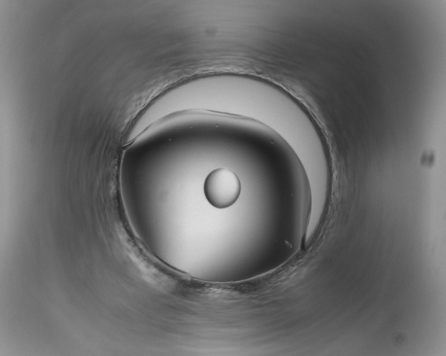 X0000112510393200908311337