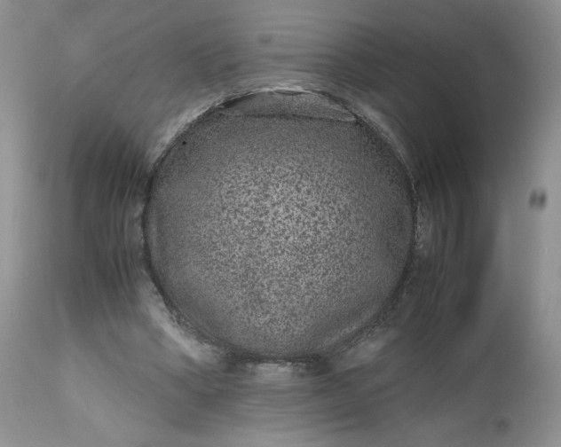 X0000112510394200908311337