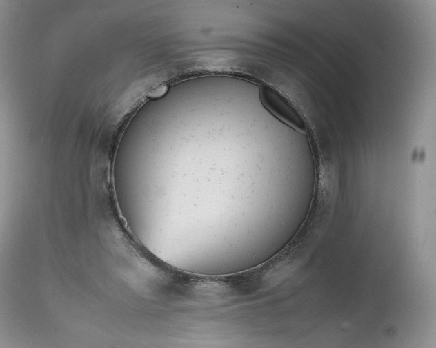 X0000112510397200908311337