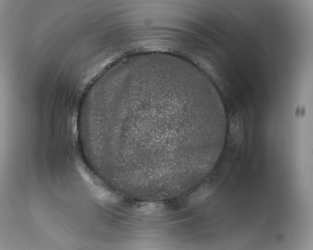 X0000112510398200908311337