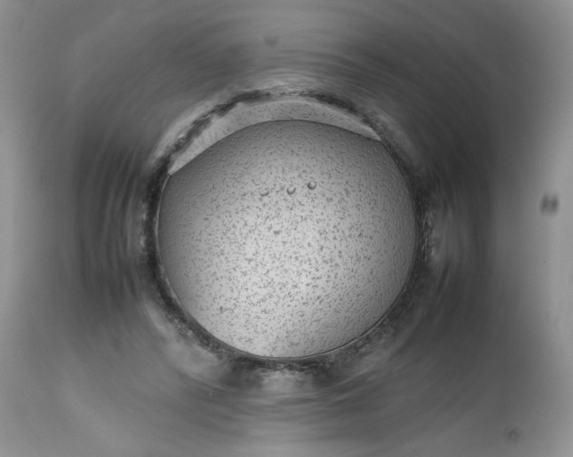 X0000112510400200908311337