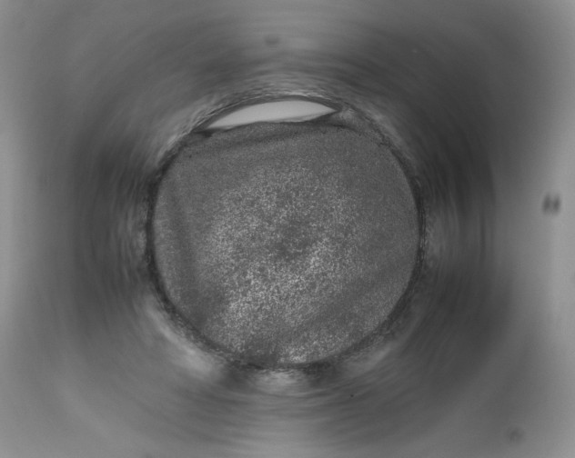 X0000112510402200908311337