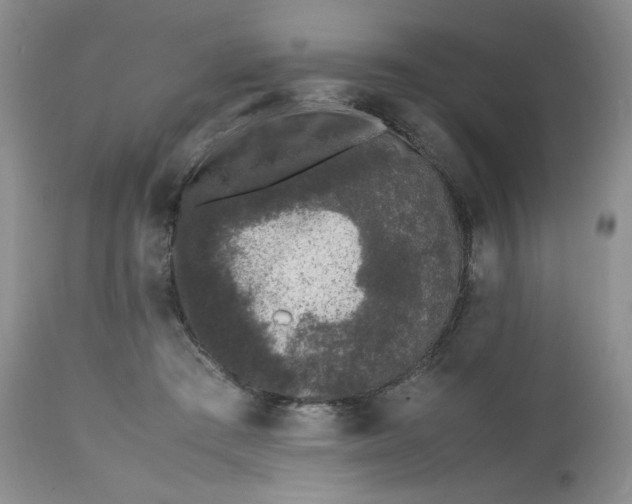 X0000112510409200908311337