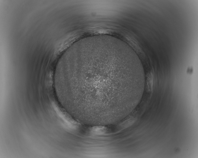 X0000112510410200908311337