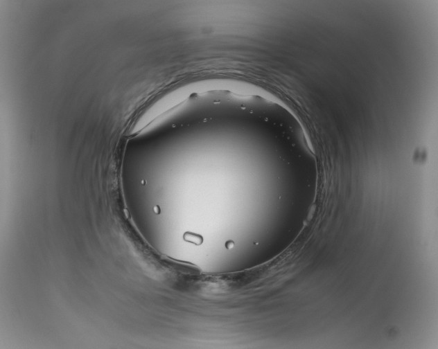 X0000112510411200908311337