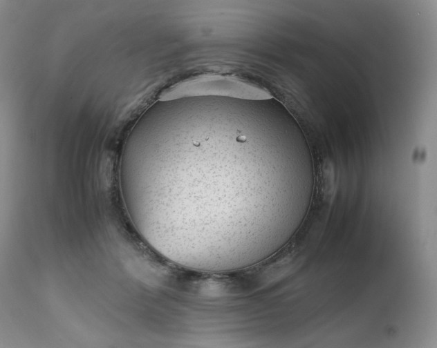 X0000112510412200908311337