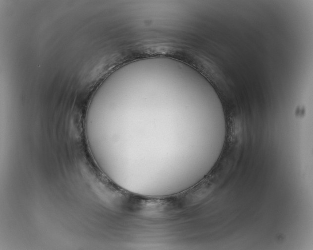 X0000112510414200908311337