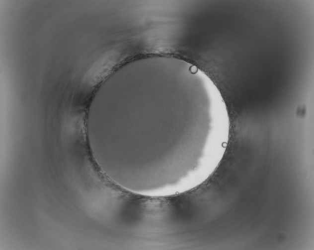 X0000112510415200908311337