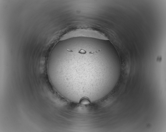 X0000112510416200908311337