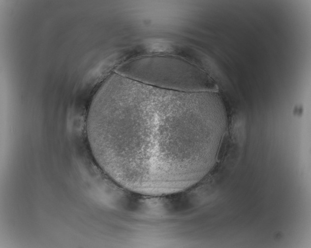 X0000112510417200908311337