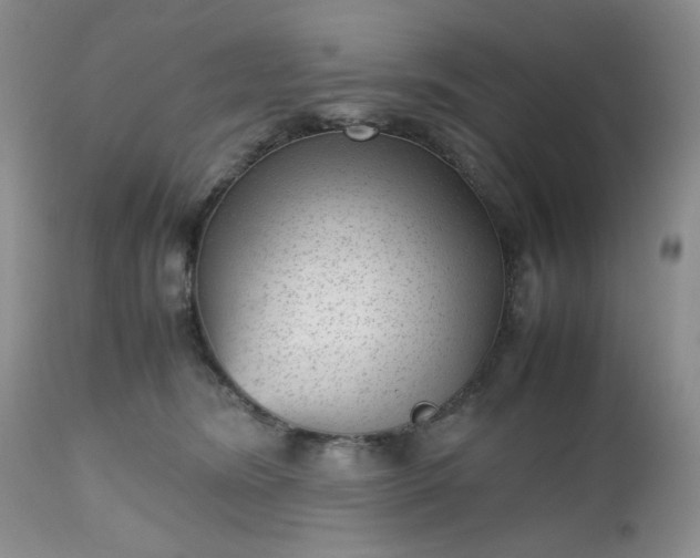 X0000112510420200908311337