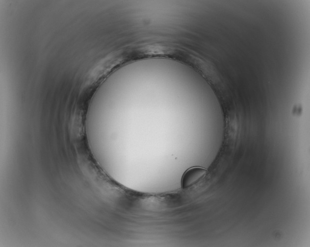 X0000112510422200908311337