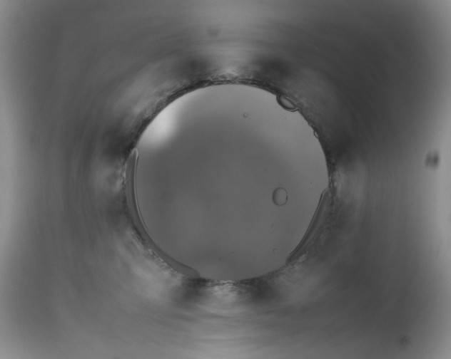 X0000112510423200908311337