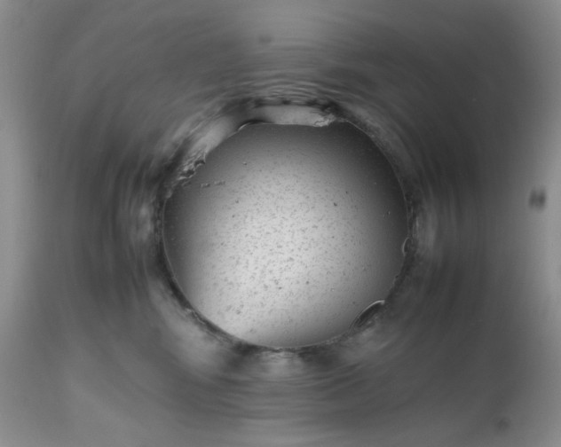 X0000112510424200908311337