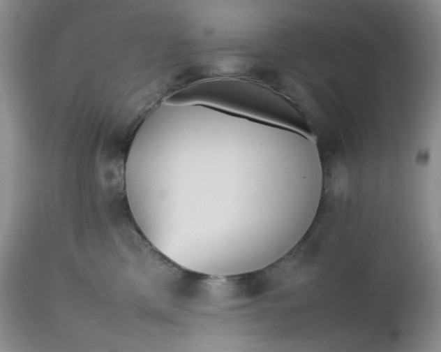 X0000112510425200908311337