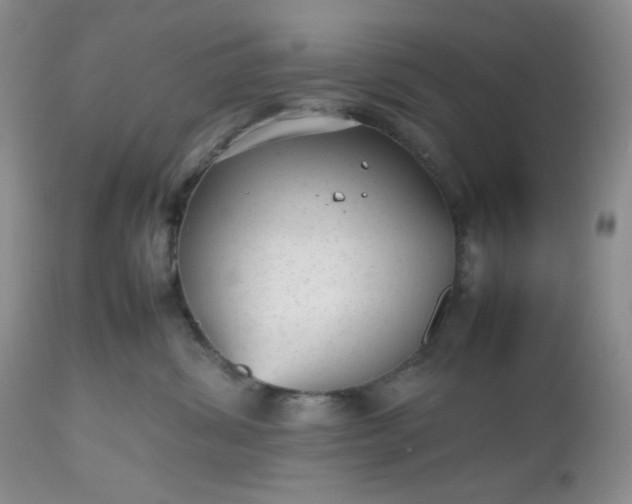 X0000112510428200908311337