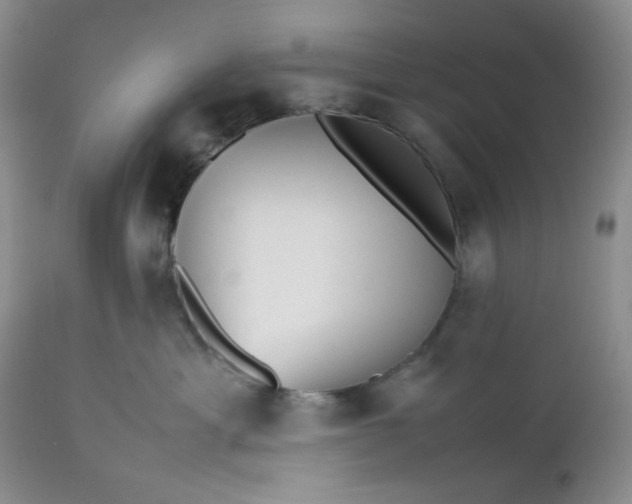 X0000112510429200908311337