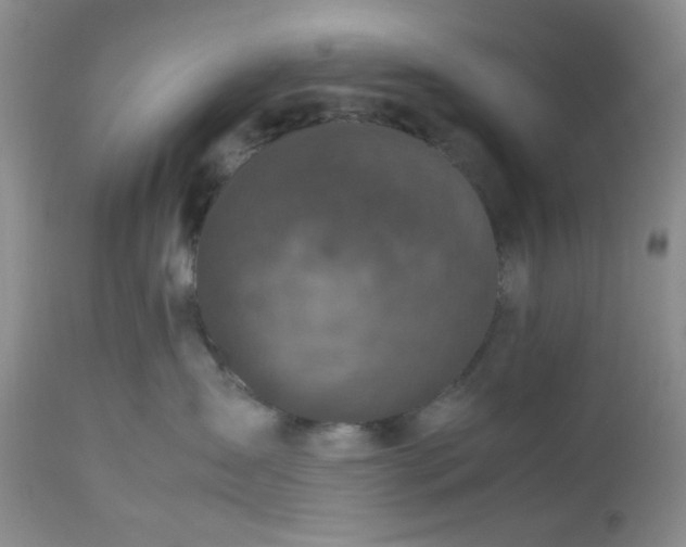 X0000112510431200908311337