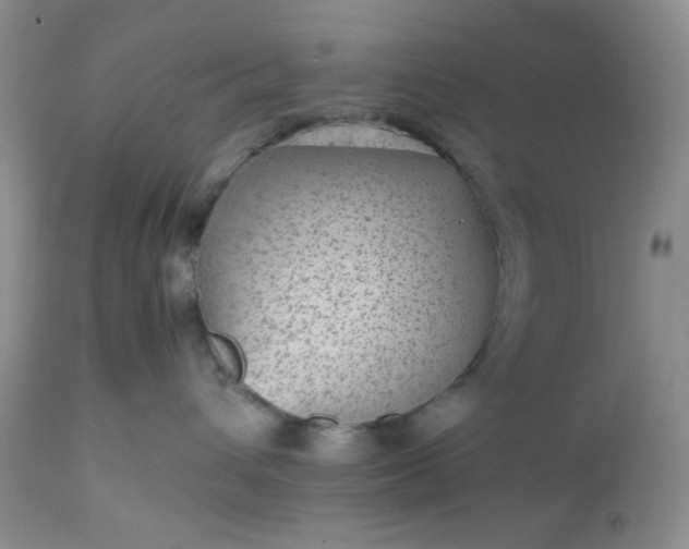 X0000112510432200908311337