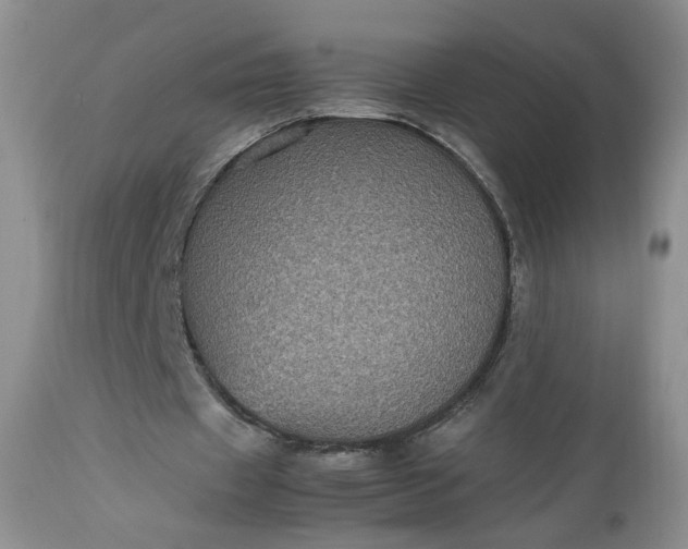 X0000112510433200908311336