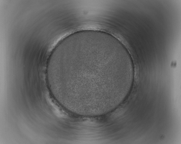 X0000112510434200908311336