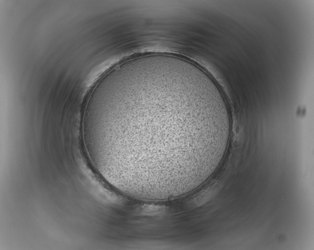 X0000112510437200908311336