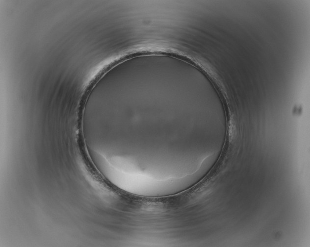 X0000112510438200908311336