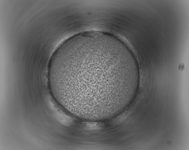 X0000112510439200908311336